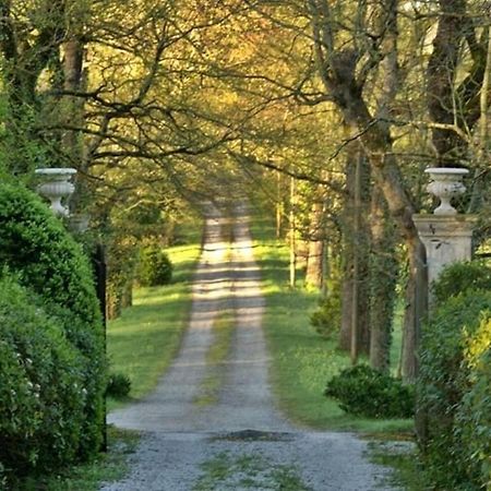 Domaine De La Vivarie Castres  Exteriér fotografie